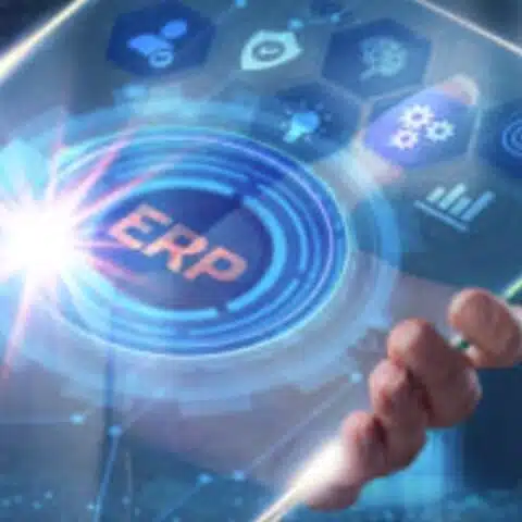 THE WHAT, WHEN, HOW AND WHY OF ERP SYSTEMS. 